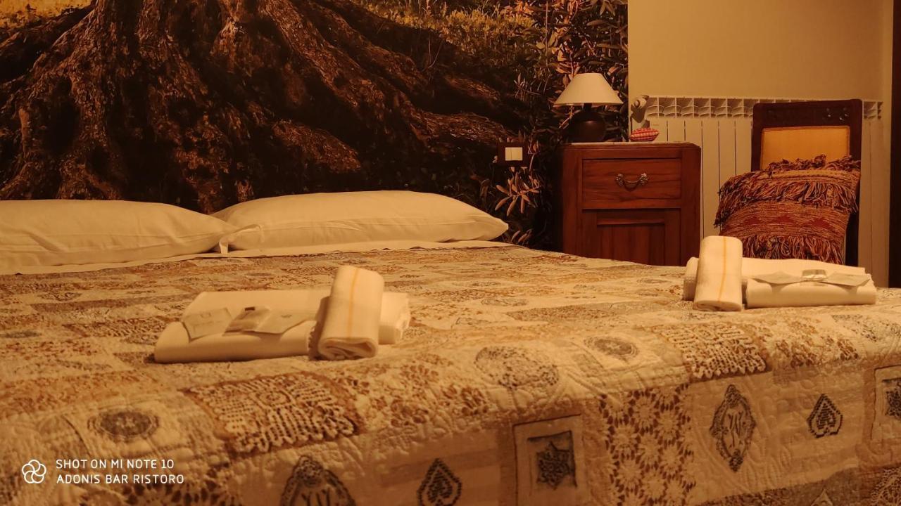 Adonis Hotel Castelvecchio Calvisio Екстериор снимка